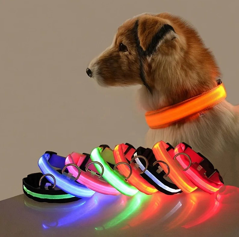 Nylon LED Night Safety Flashing Glow In The Dark Dog Leash Dogs Luminous Fluorescent Pet Dog Collar